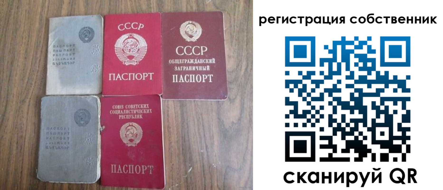 прописка поиск в Калининградской области